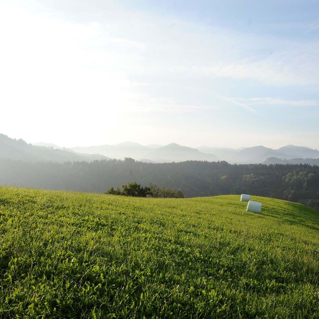 Tagungen, Seminare und Kurse - Aussicht - Alter Steinshof - Sternenberg