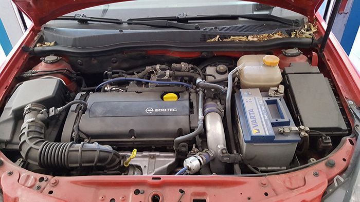 Έλεγχος λαδιών ΠΑΙΔΗΣ