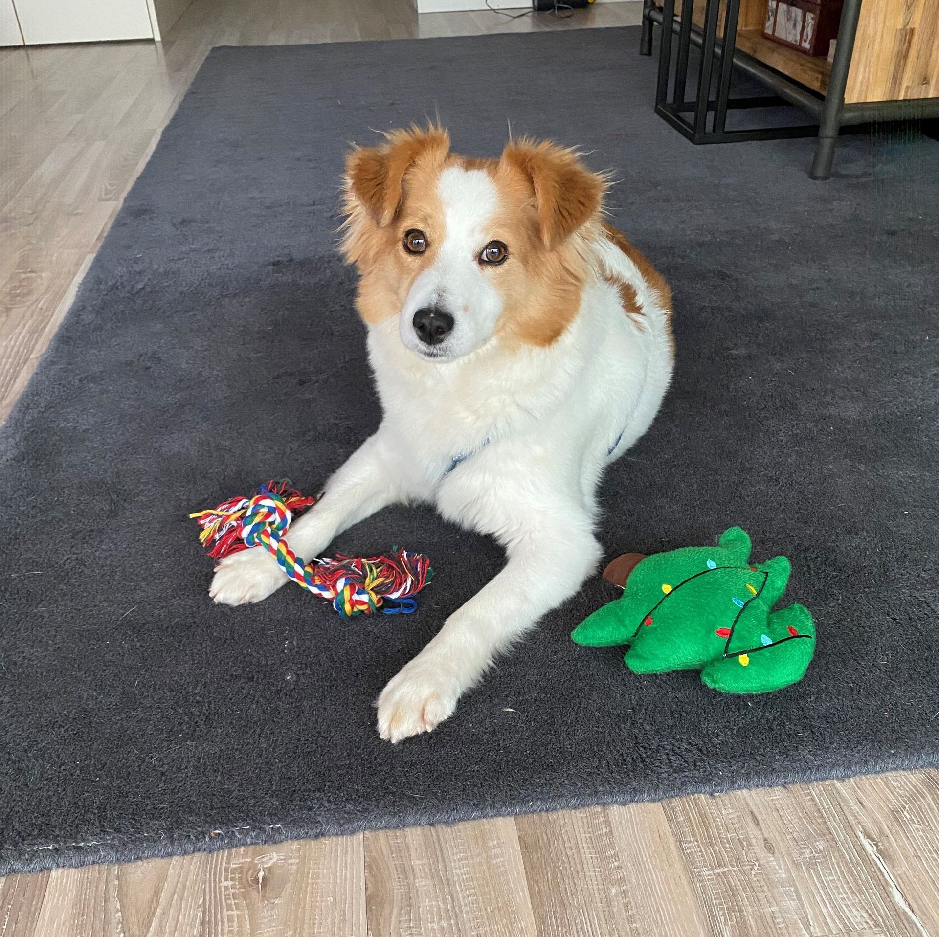 Malergeschäft P. Käser AG