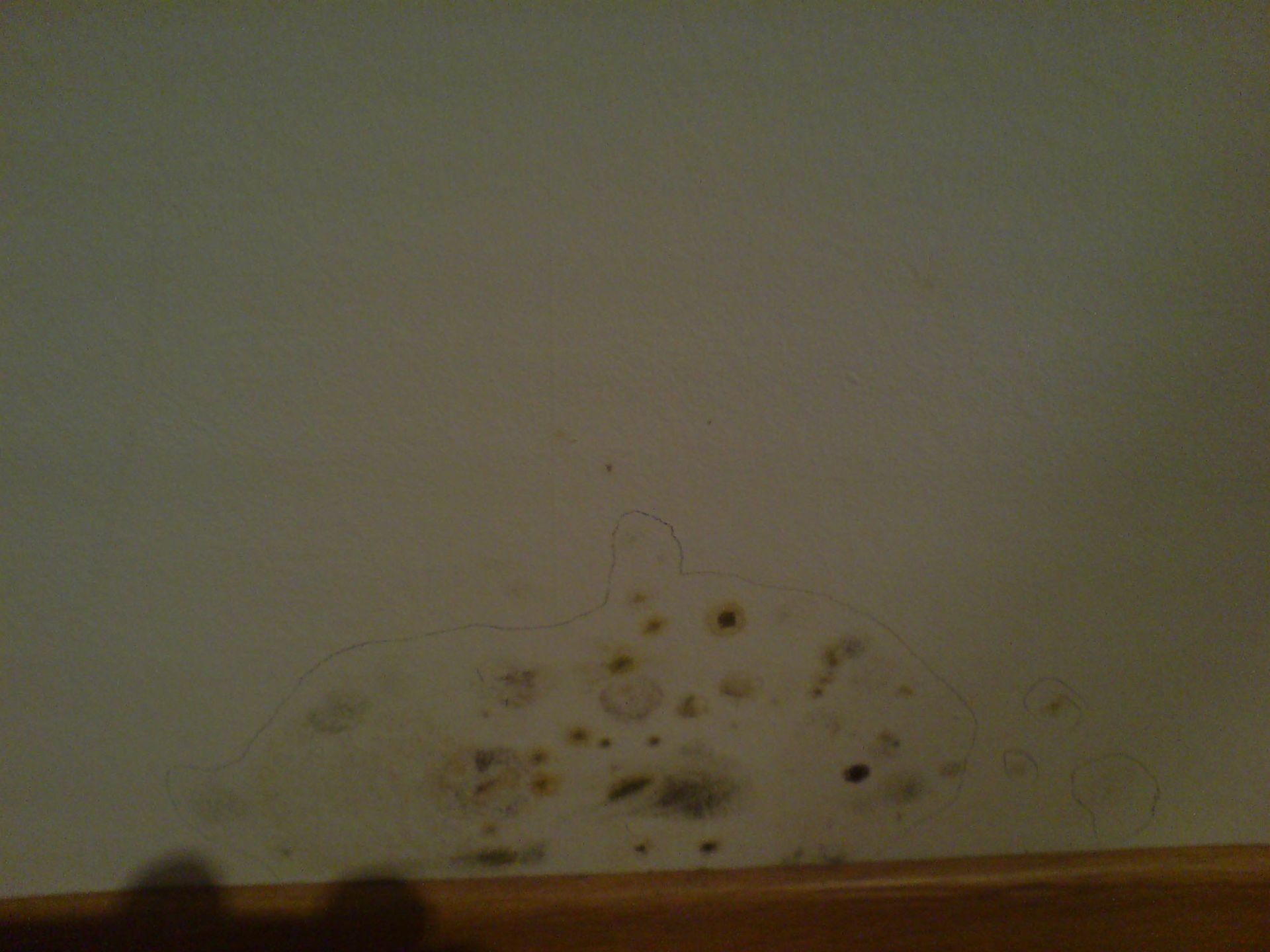 Schimmel vorher – Malergeschäft P. Käser AG – St. Gallen