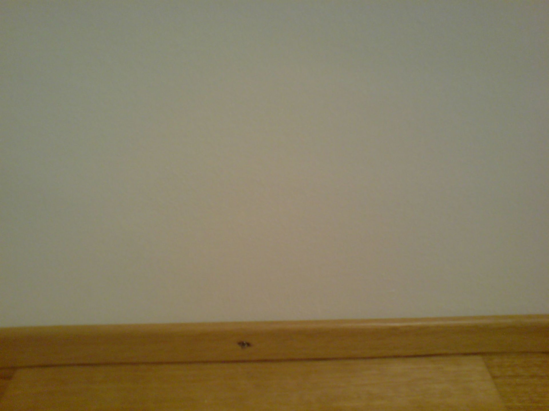 Schimmel nachher – Malergeschäft P. Käser AG – St. Gallen