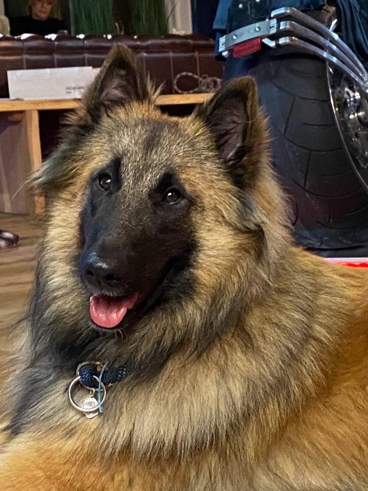 Malergeschäft P. Käser AG