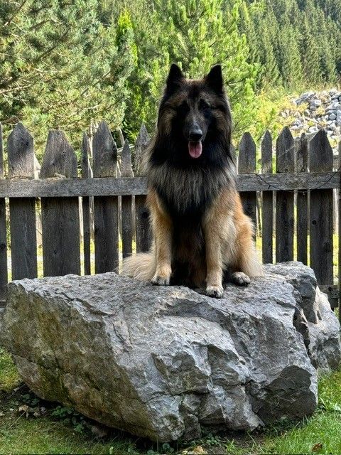 Malergeschäft P. Käser AG