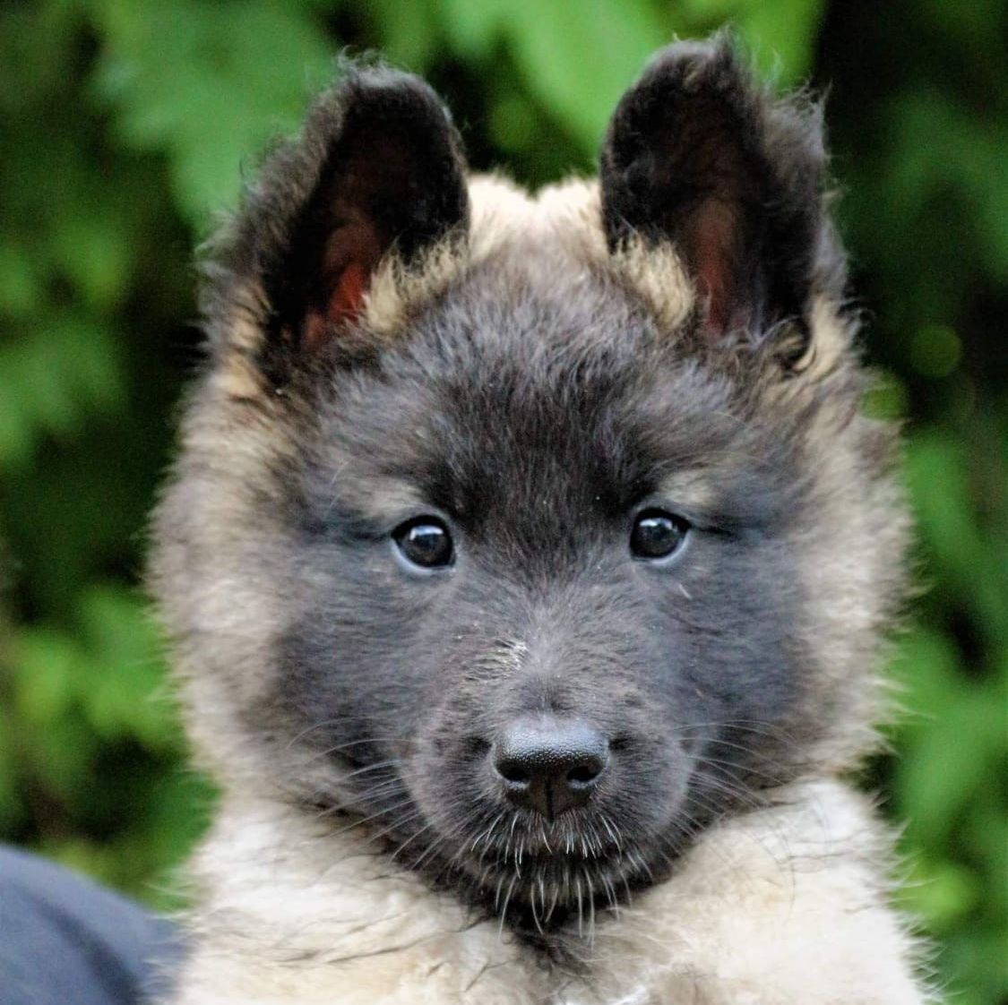 Malergeschäft P. Käser AG