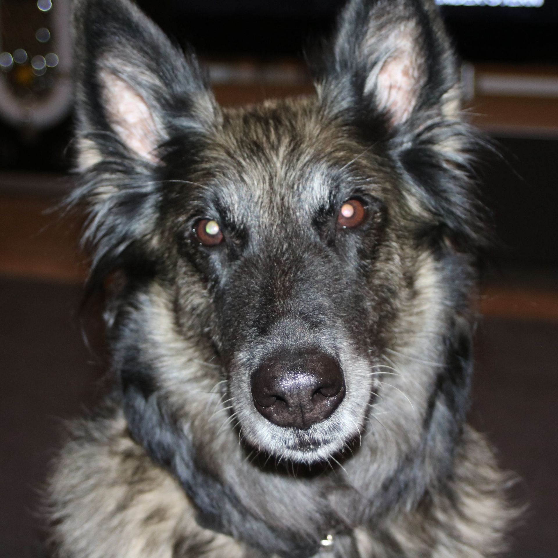 Malergeschäft P. Käser AG