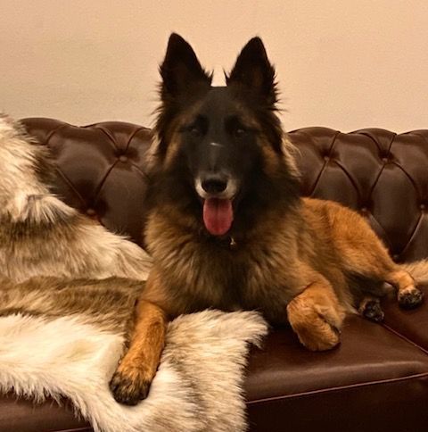 Malergeschäft P. Käser AG