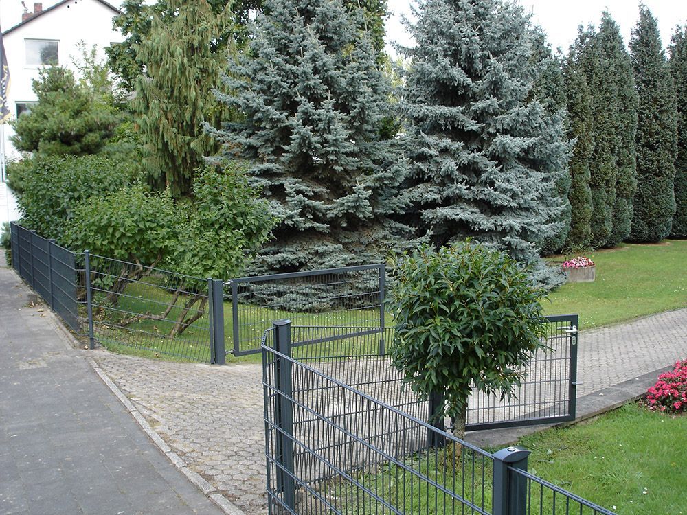 Ein Zaun umgibt einen üppigen grünen Hof mit Bäumen und Büschen