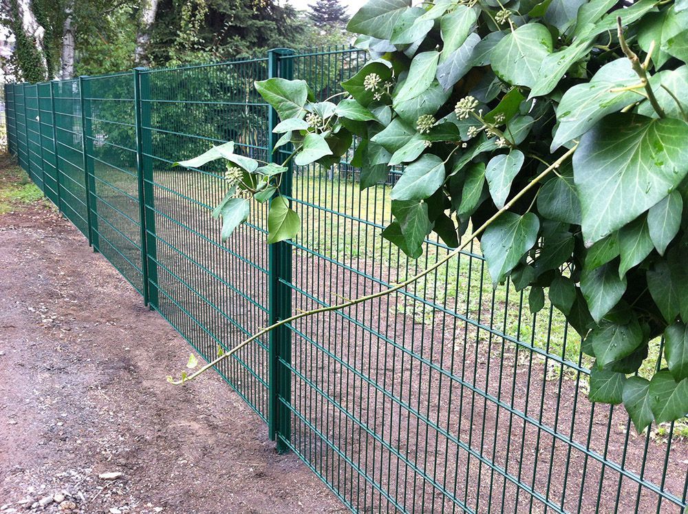 Ein grüner Zaun mit einem Baum im Hintergrund