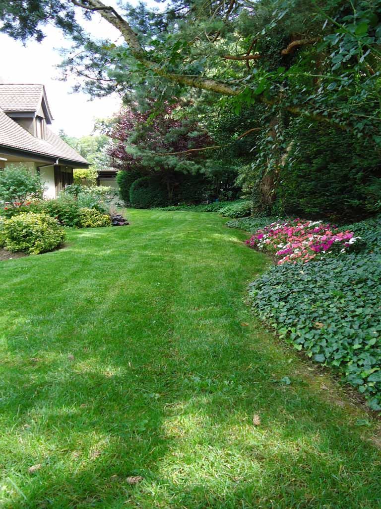 Rasen mähen - MM Gartenpflege GmbH Wiliberg