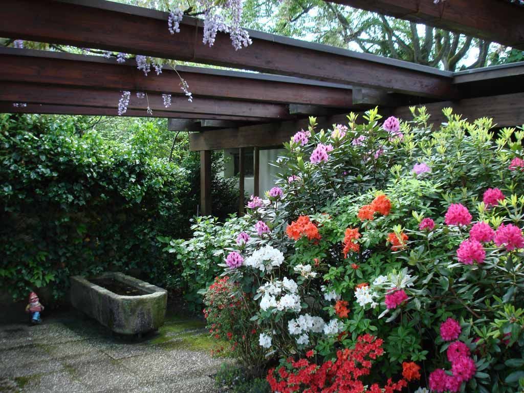 Innenhof Frühling - MM Gartenpflege GmbH Wiliberg