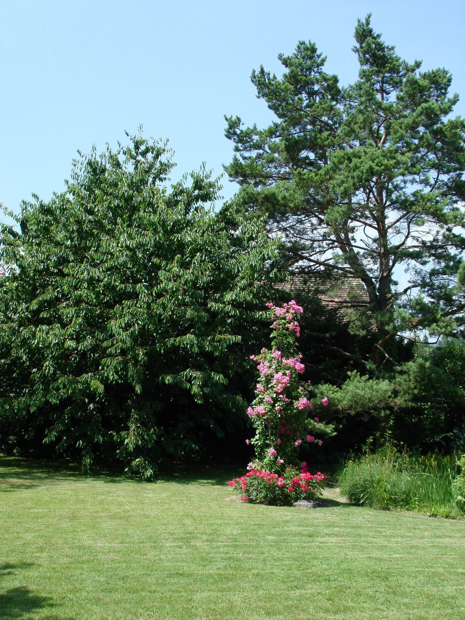 Kundengarten - MM Gartenpflege GmbH Wiliberg