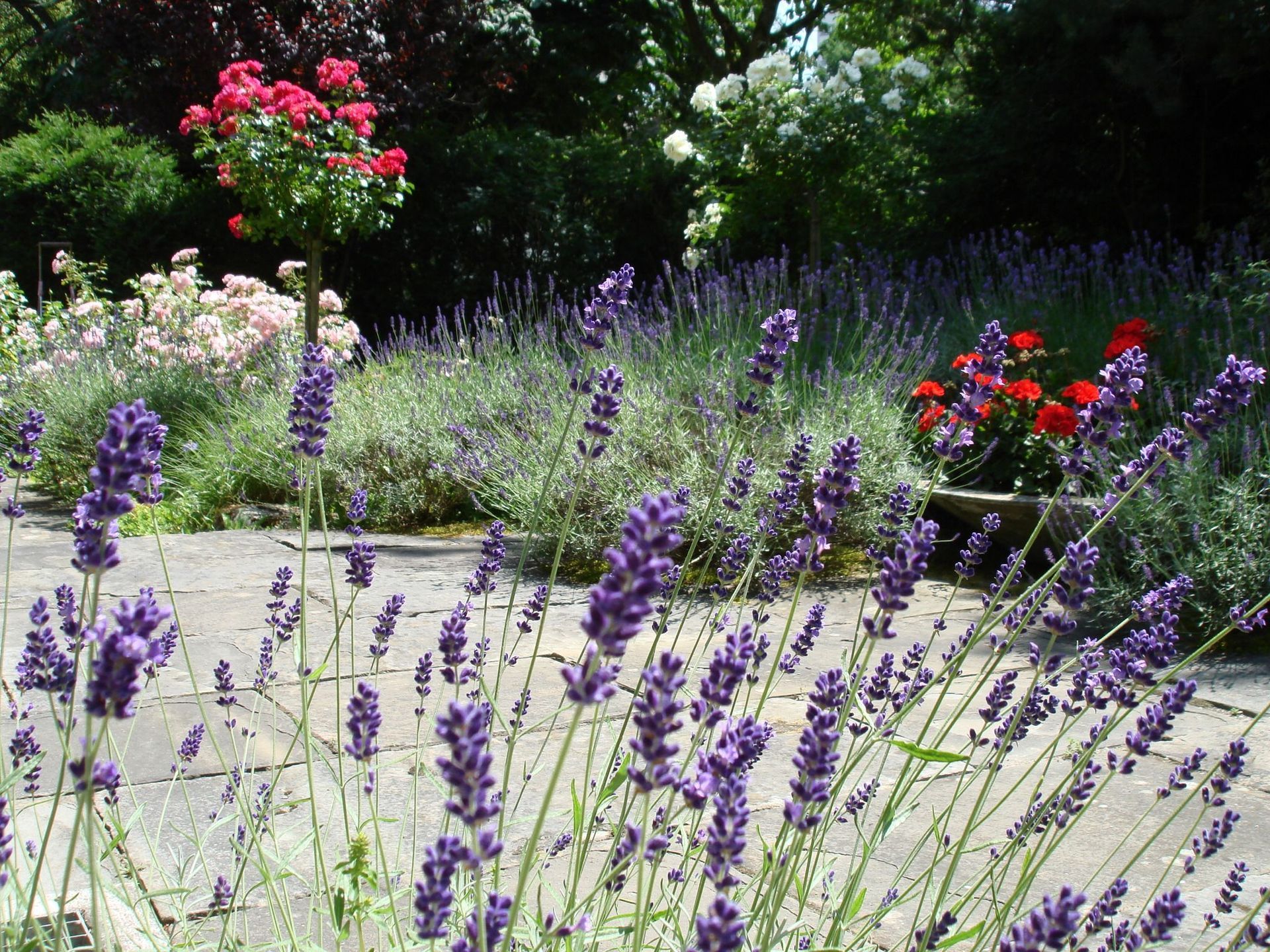 Kundengarten - MM Gartenpflege GmbH Wiliberg