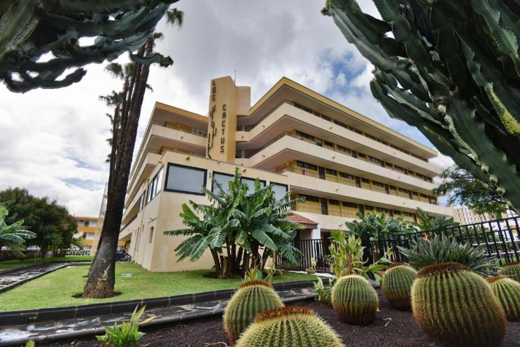 Un gran edificio con muchos cactus en frente.