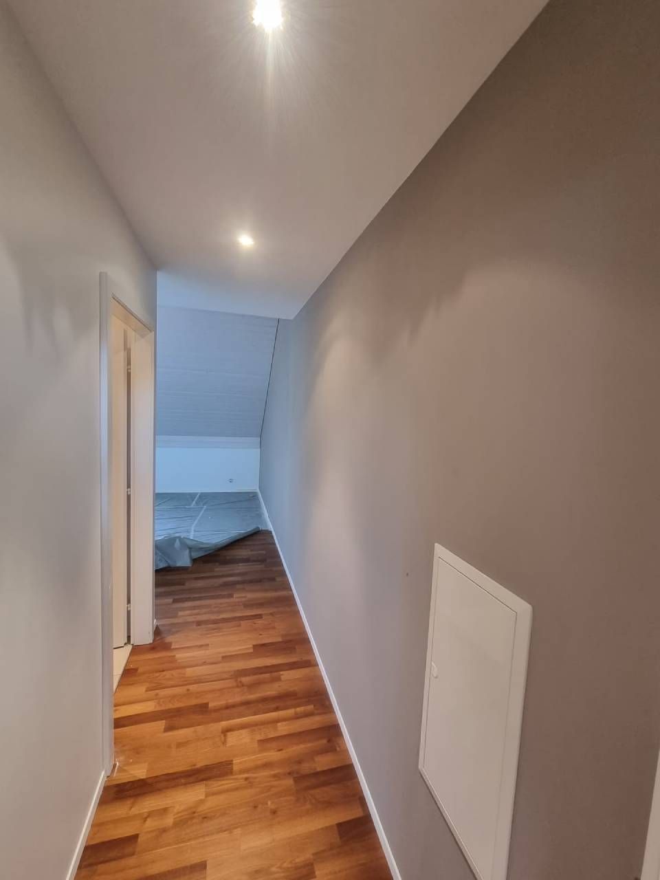 Couloir étroit aux murs blancs, parquet, éclairage au plafond et une porte au fond