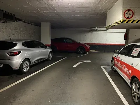 Suculenta en forma de espiral con hojas verdes y puntas oscuras, aislada sobre fondo blanco.
