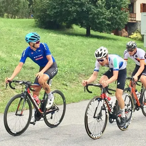 Des cyclistes en maillots colorés roulent sur une route, avec une colline bordée d'arbres en arrière-plan.