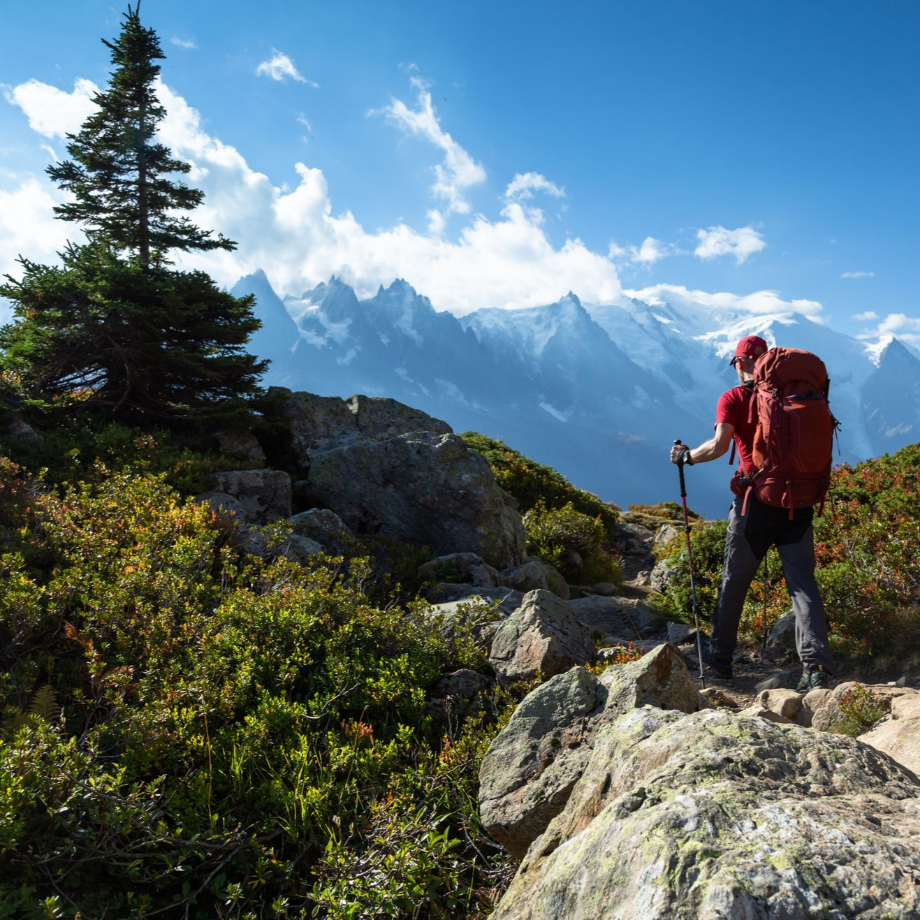 Un randonneur en montagne