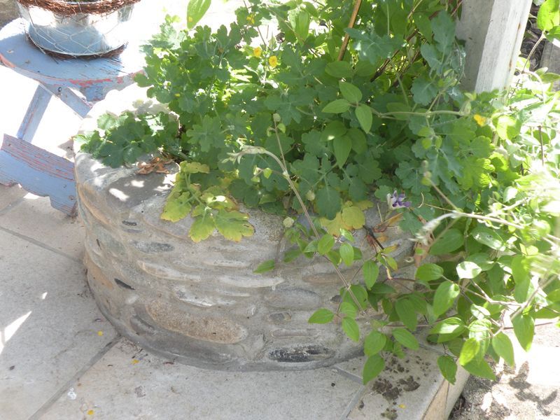 Maçonnerie paysagère