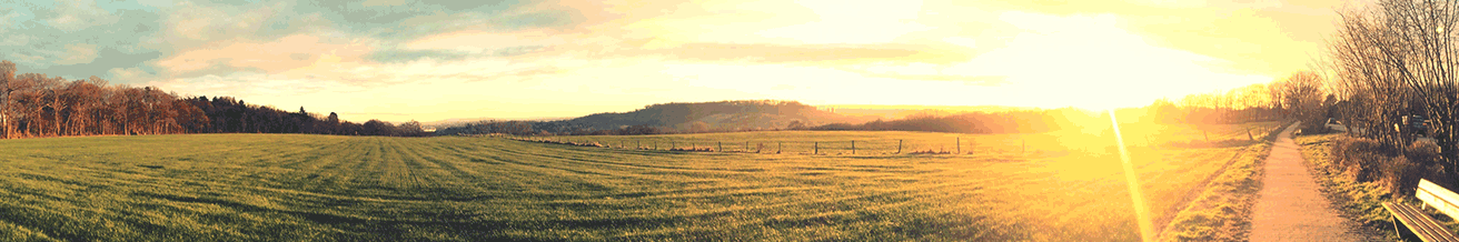 Ein verschwommenes Bild eines Feldes mit einem Sonnenuntergang im Hintergrund.