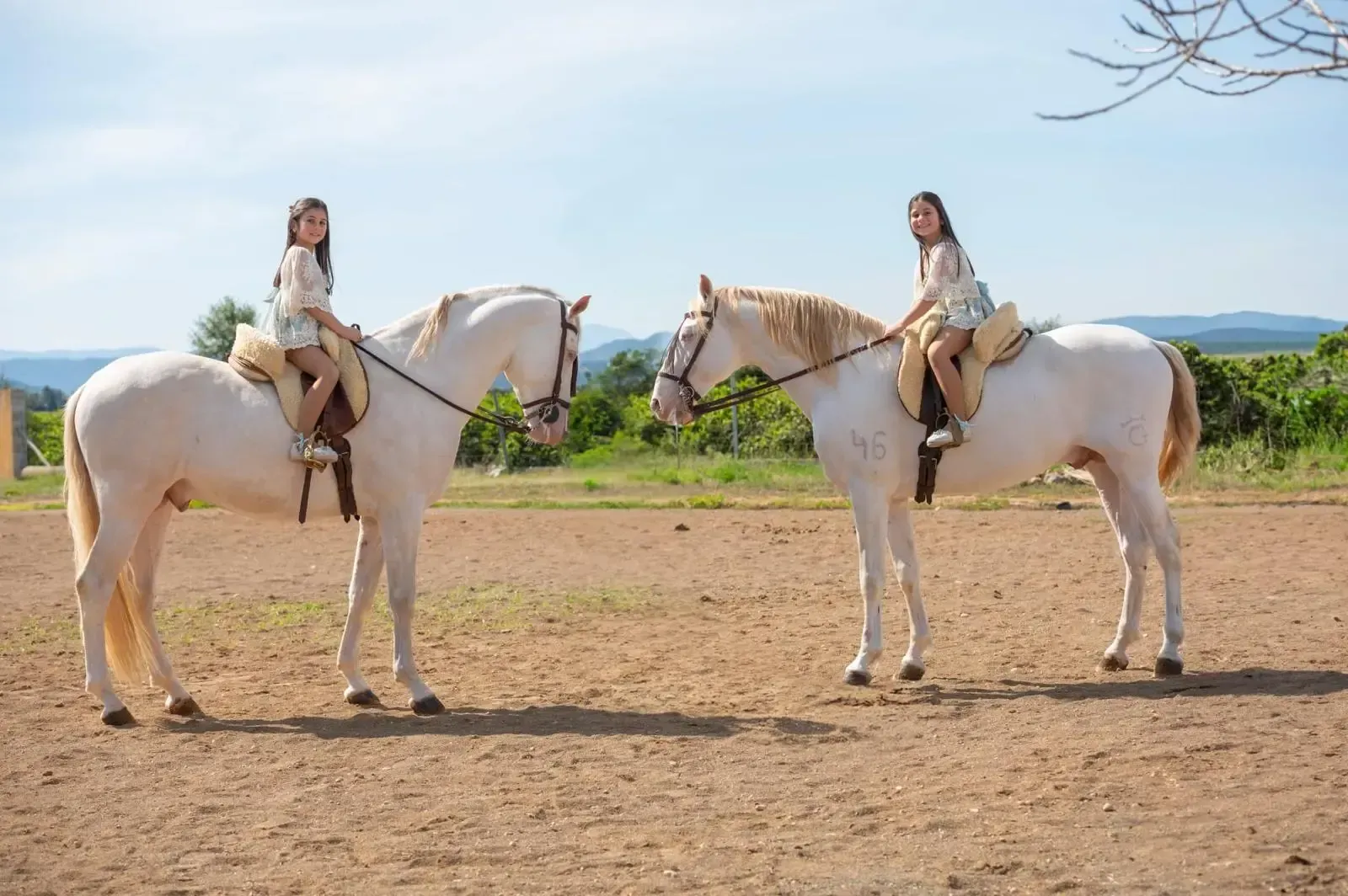 Dos personas en caballos blancos en un entorno soleado al aire libre.