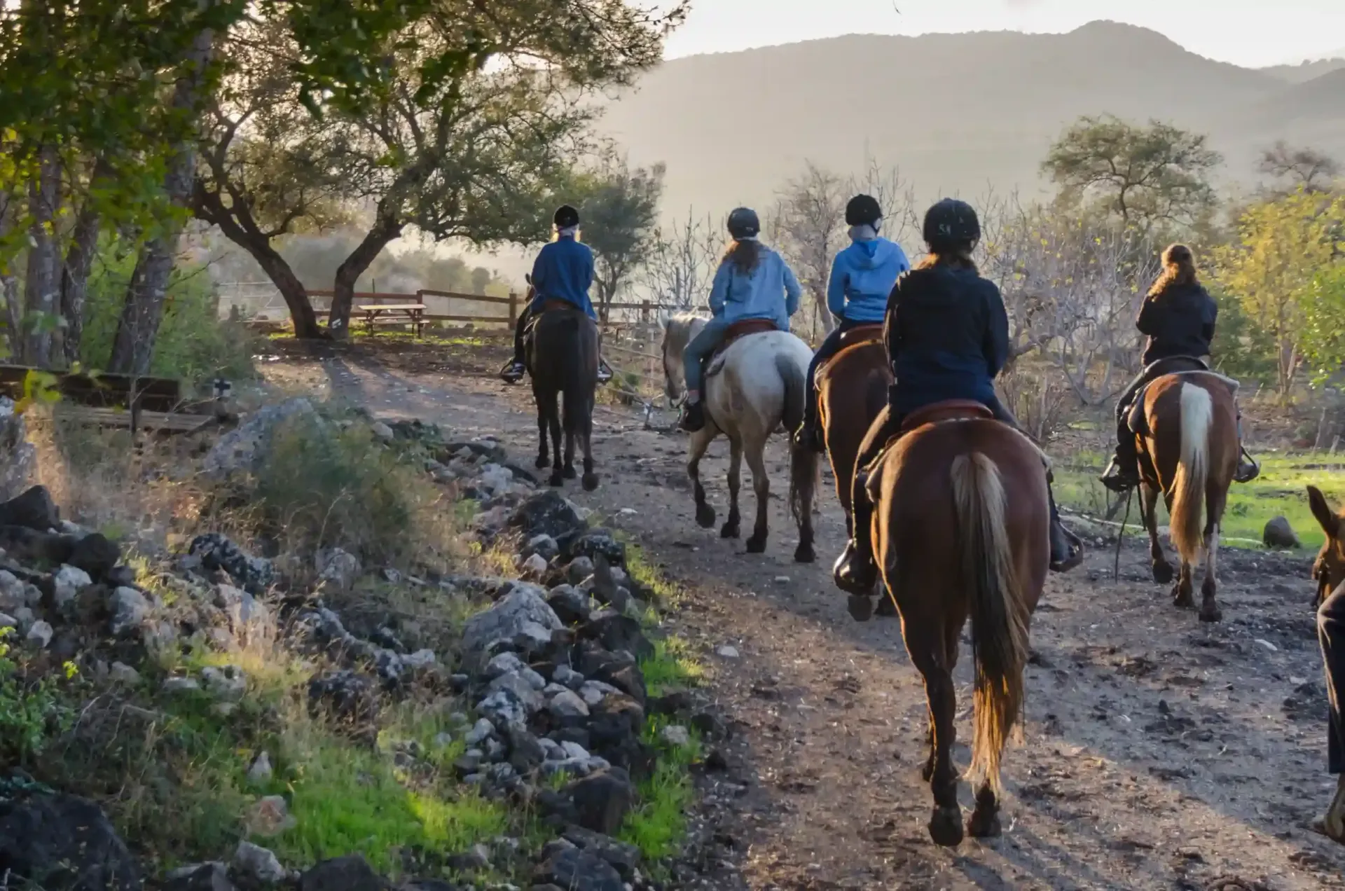 Gente montando a caballo por un sendero a través de una zona soleada y boscosa.