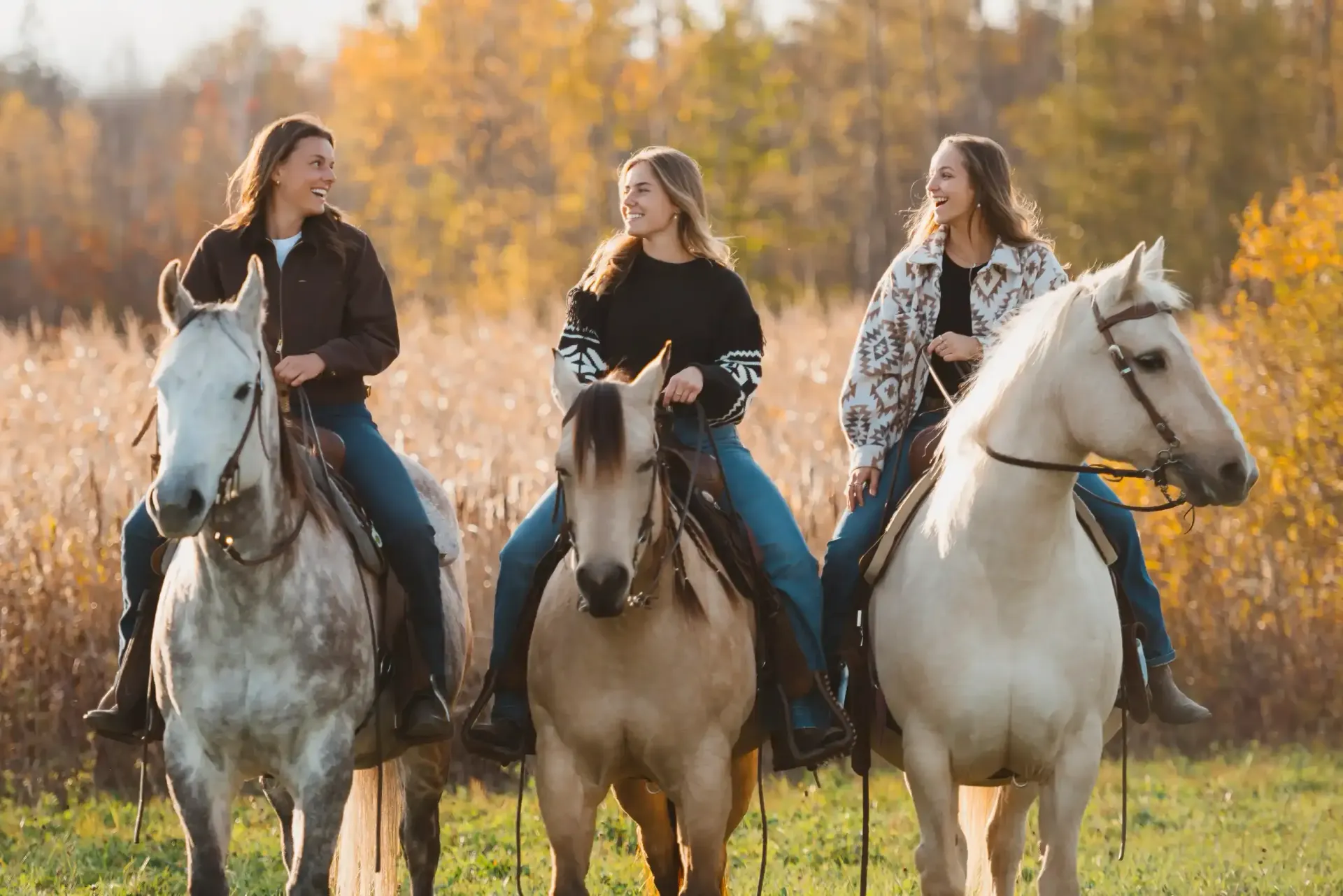 Tres jinetes a caballo en un campo con follaje otoñal. Caballos de diferentes colores.
