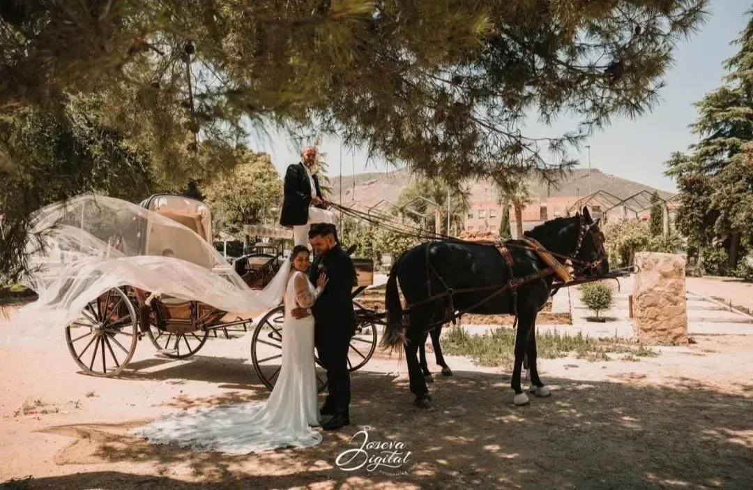 Los novios posan junto a un carruaje tirado por caballos bajo un árbol