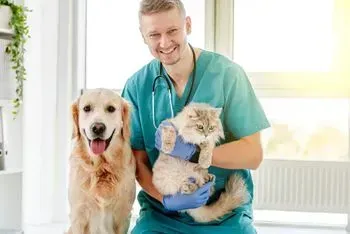 Un veterinario sostiene un perro y un gato en sus brazos.