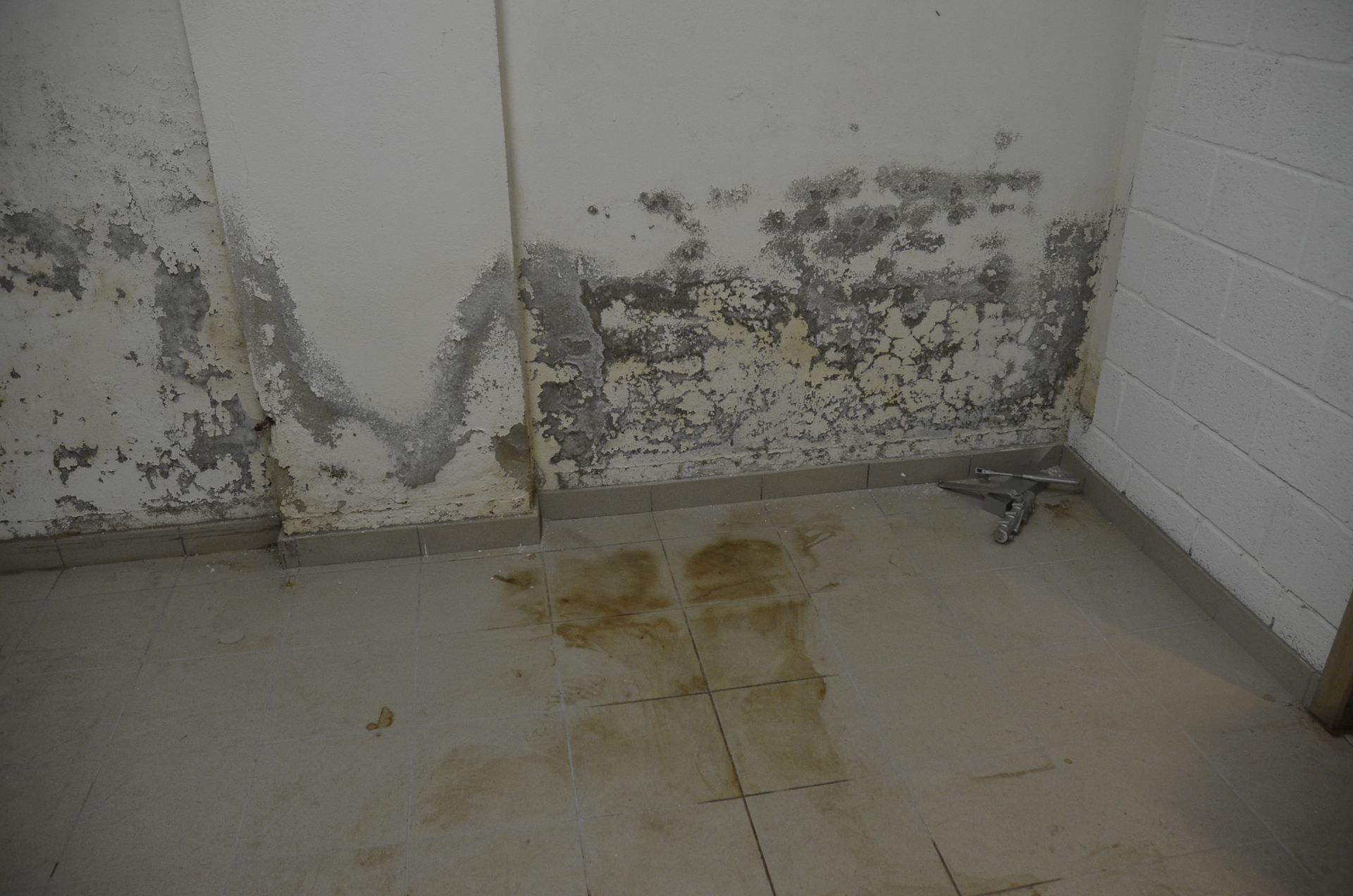 Comment traiter l'humidité et des infiltrations dans la cave par l'intérieur?