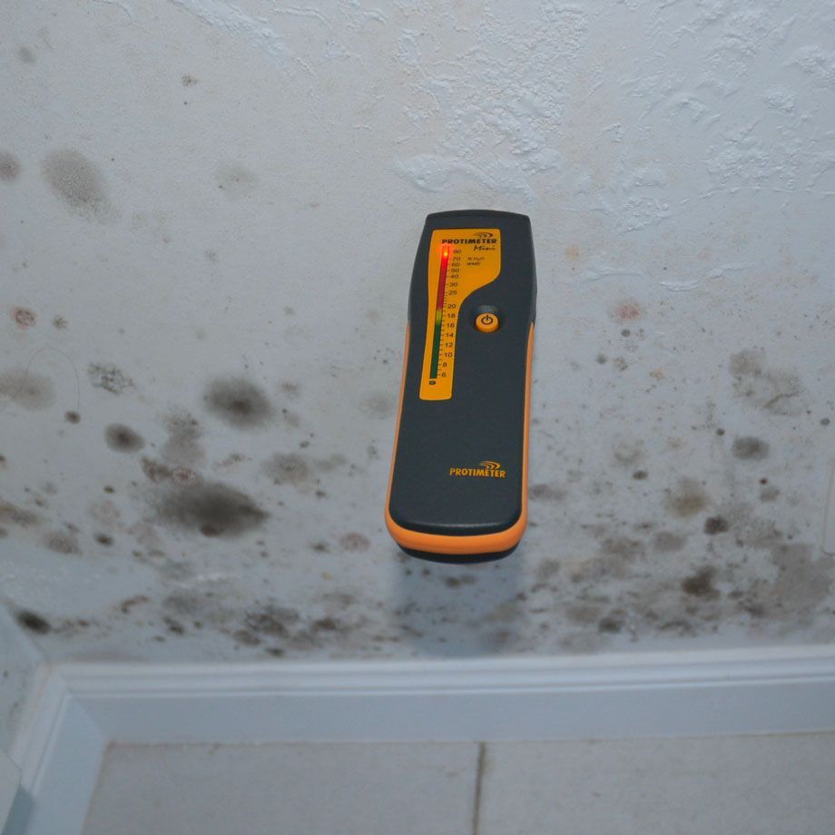 vochtproblemen op het plafond