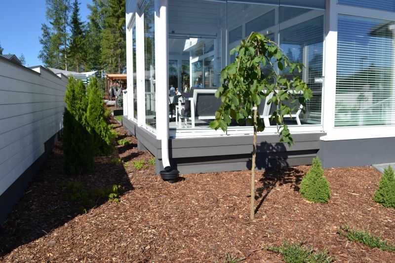 pihakivetysseinajoki.fi