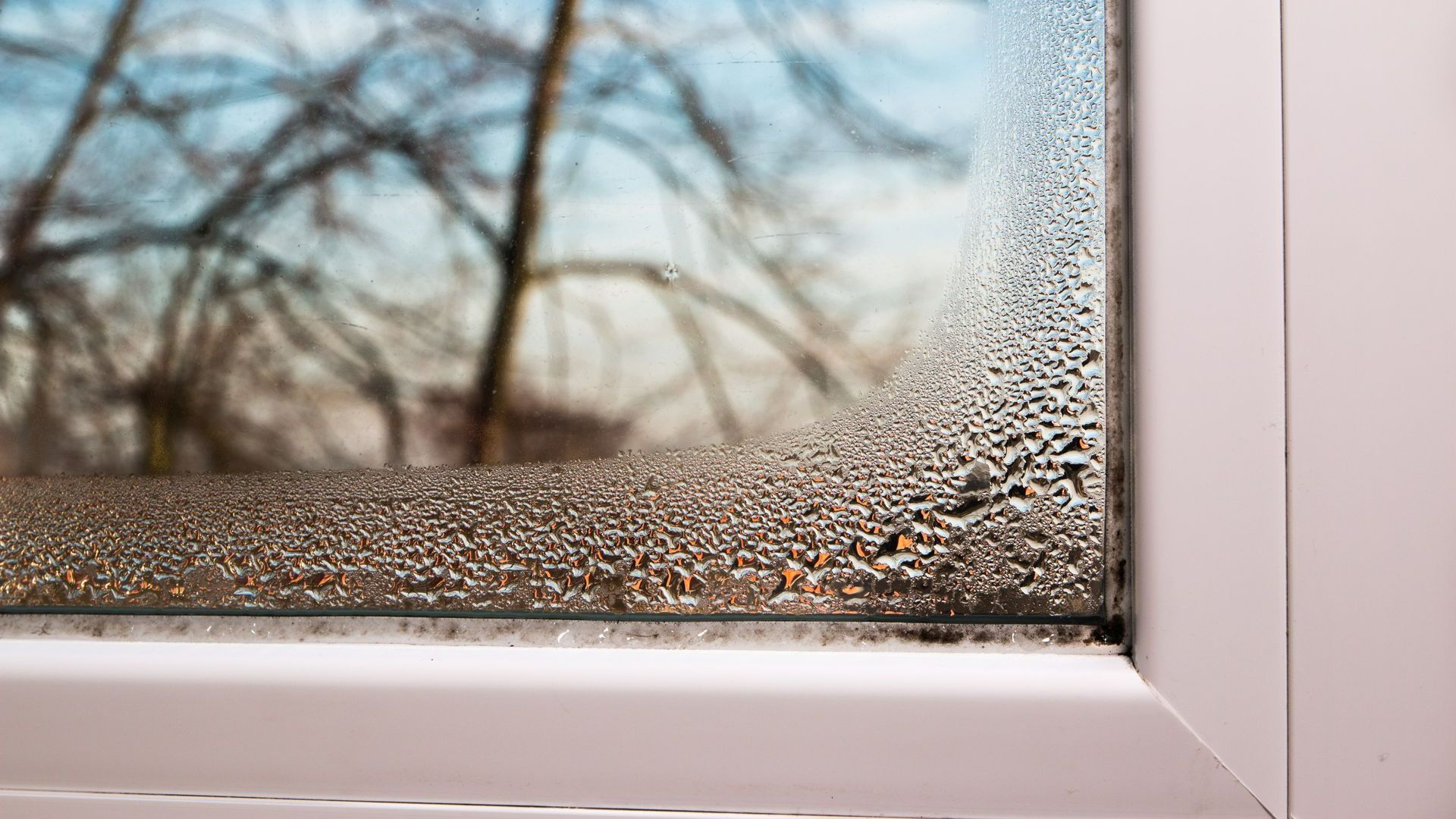 Condensation fenêtre