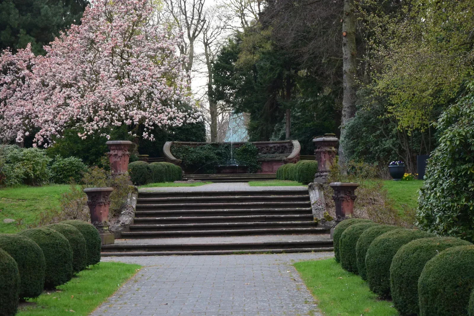 Steinstufen führen hinauf zu einer Gartenterrasse mit rosa blühenden Bäumen, flankiert von gestutzten Sträuchern.