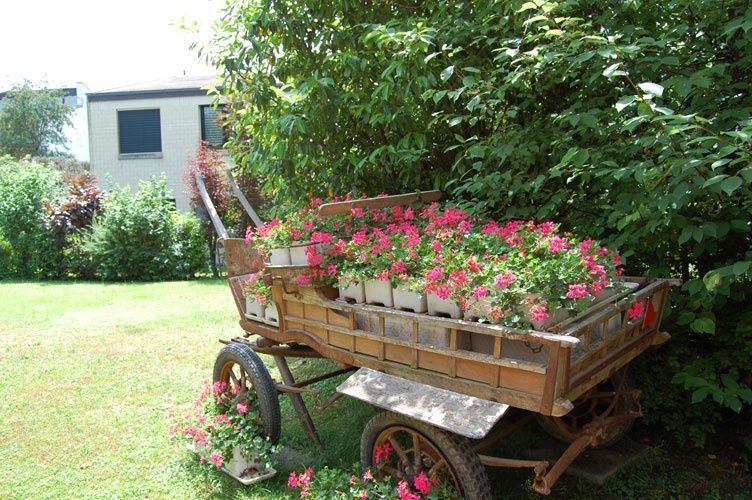 Résidence en Segrin - Etablissement Médico-Social