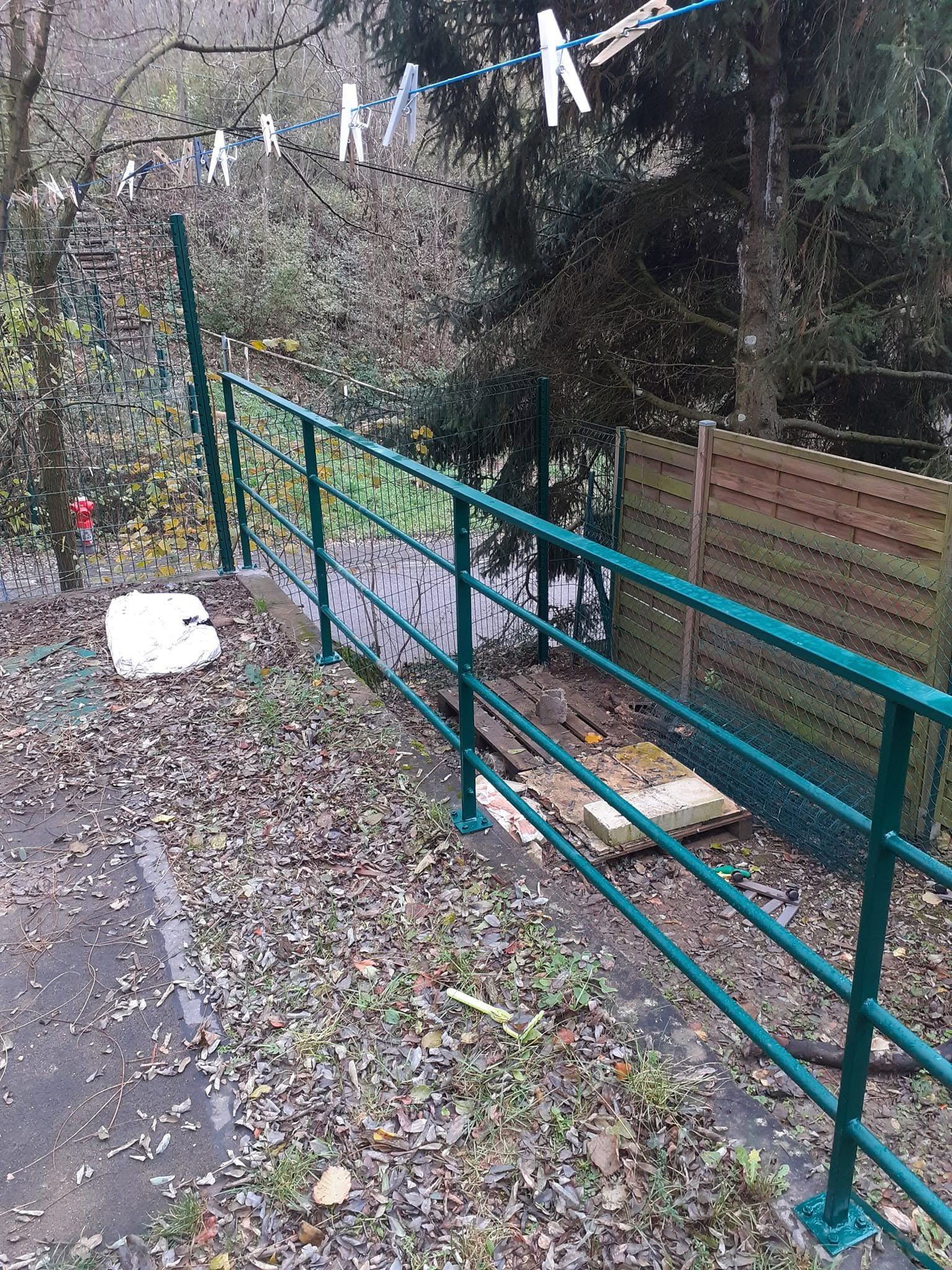 Rampe verte le long d’un sentier humide et d’un talus couvert de feuilles dans une zone boisée