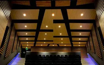 Interior de escalera con techo de paneles de madera e iluminación integrada. Vigas negras entrecruzan el techo, con listones de madera a lo largo de las paredes.