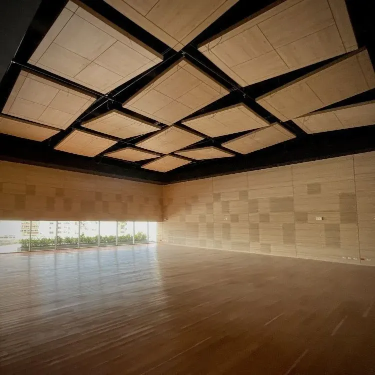 Habitación moderna y vacía con suelo, paredes y techo de madera. Grandes ventanales con vistas.