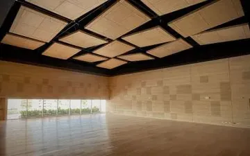 Habitación vacía con suelo y paredes de madera, y paneles insonorizantes en el techo. Un gran ventanal deja entrar la luz natural.