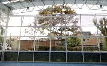 Una gran estructura con ventanas que enmarca un árbol y los edificios del exterior. Las ventanas tienen marcos de metal ligero.