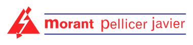 Javier Morant Pellicer