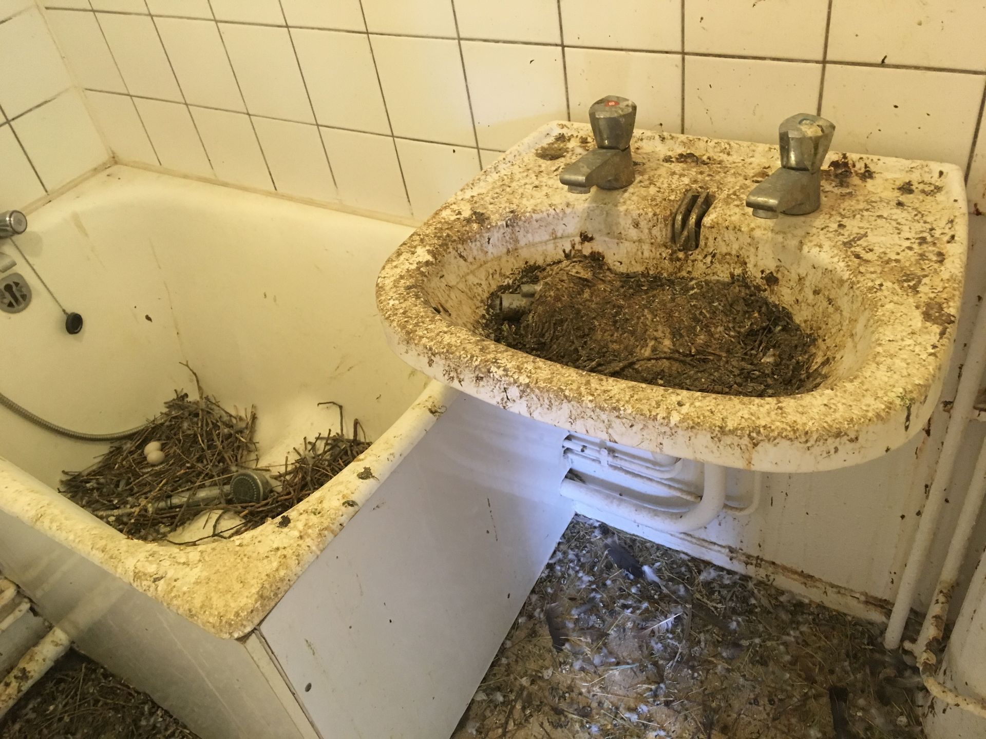 Salle de bains avant le nettoyage