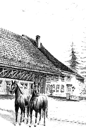 Restaurant Rössli Oberhofen - Geschichte
