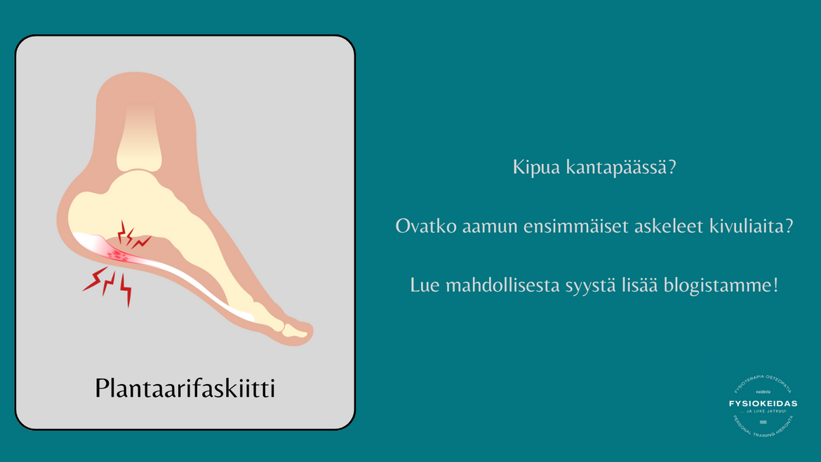 fysiokeidas