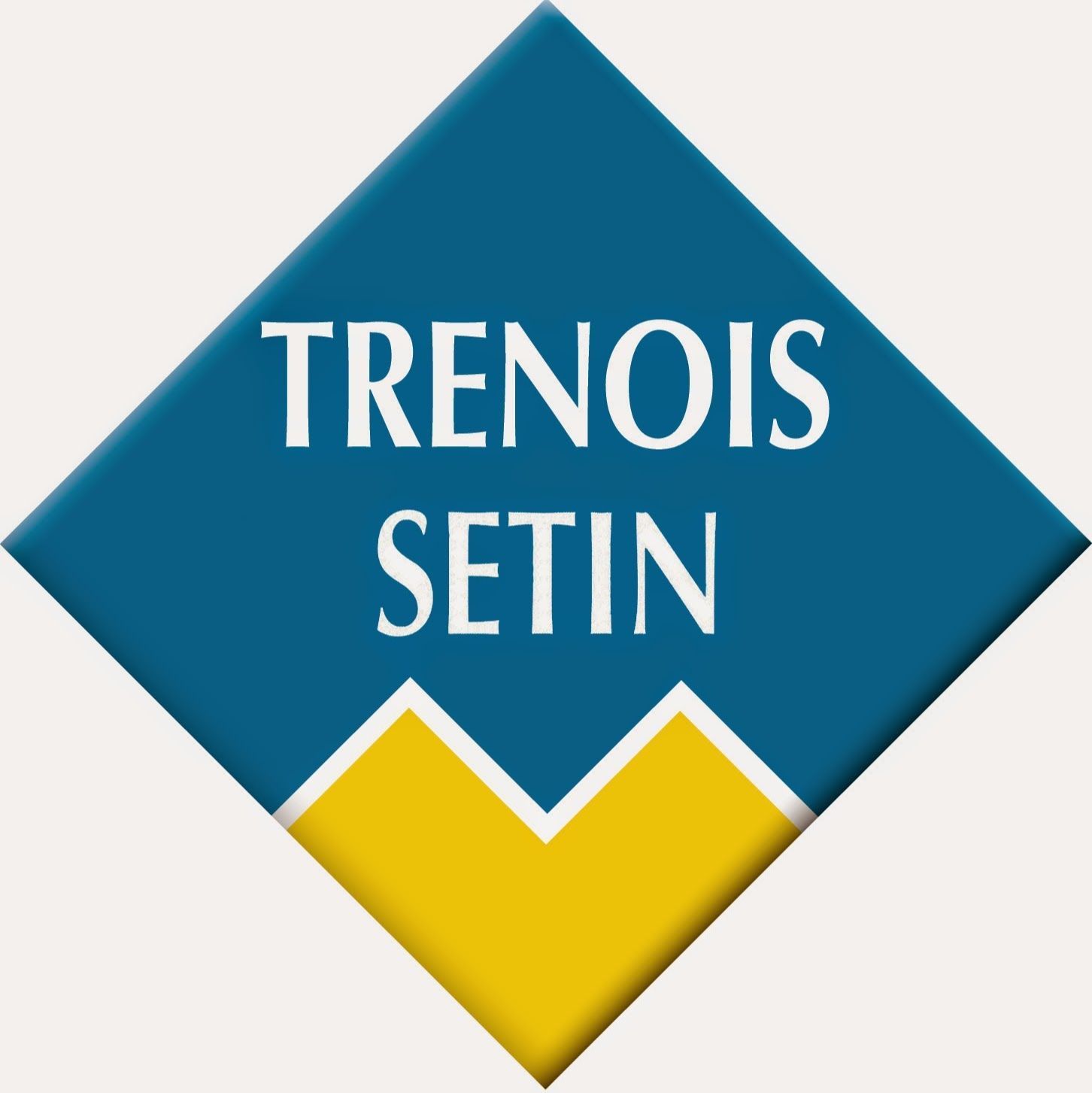 Logo Trenois Setin