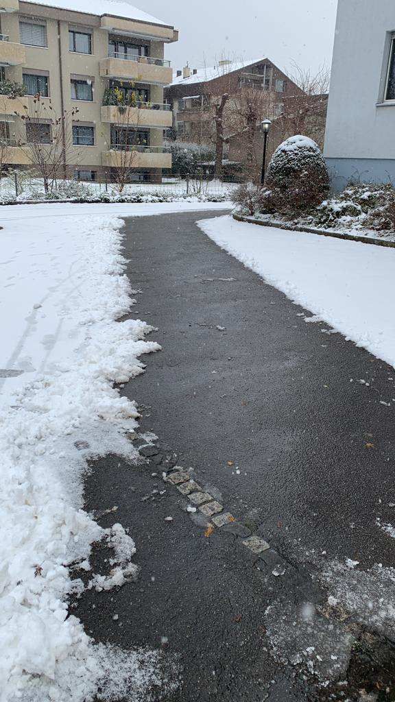 Dauti Gartenbau & Hauswartung