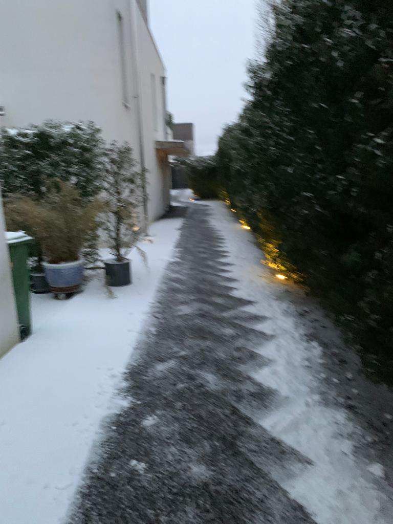 Dauti Gartenbau & Hauswartung