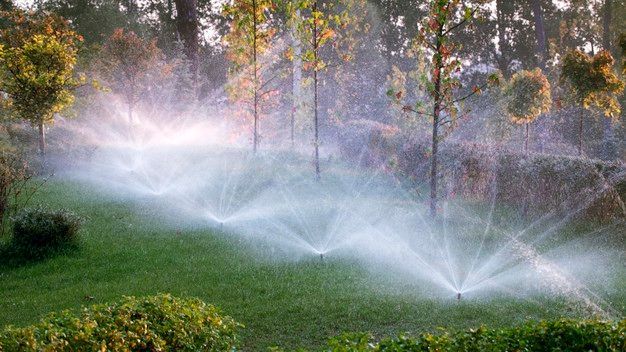 Sprinkleranlage in einem Garten