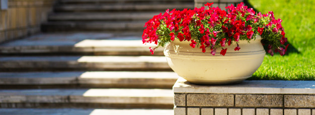 Dauti Gartenbau & Hauswartung