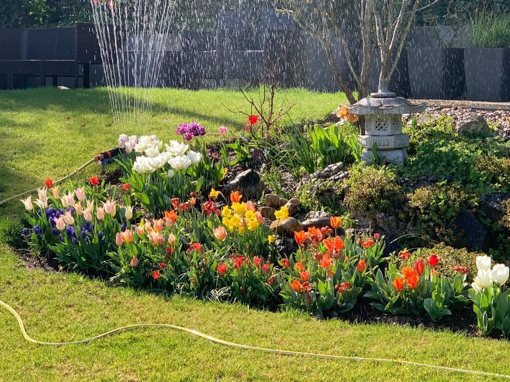 Dauti Gartenbau & Hauswartung