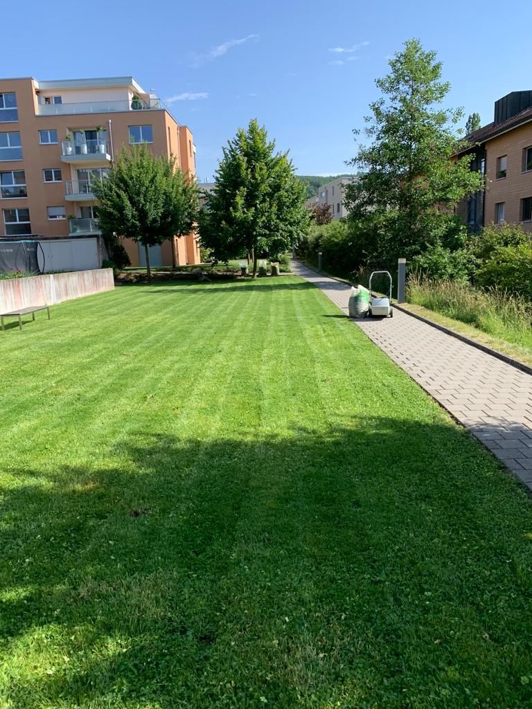 Dauti Gartenbau & Hauswartung